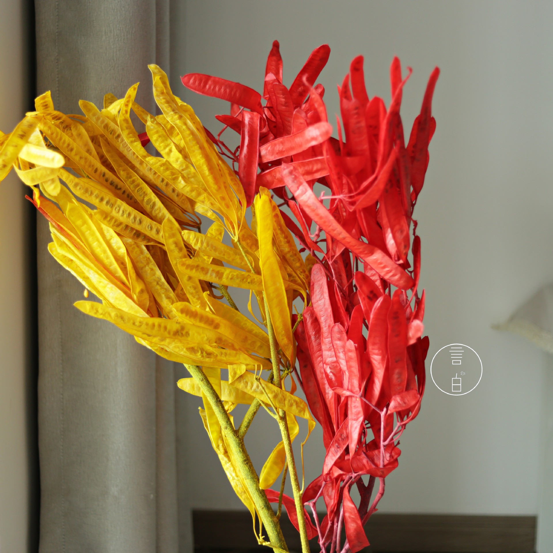 永生豌豆扁豆夹福豆干花花束厂家批发花瓶样板房插花花材花艺装置