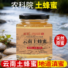 云南雨林崖蜜岩蜜深山土蜂蜜批发土特产伴手礼喜蜜百花蜂蜜蜂巢蜜