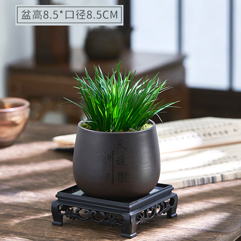 Dinero Acorus acorus bonsai pequeña maceta de oficina decoración de mesa de té modelado Zen迷 interior micro paisaje flor verde