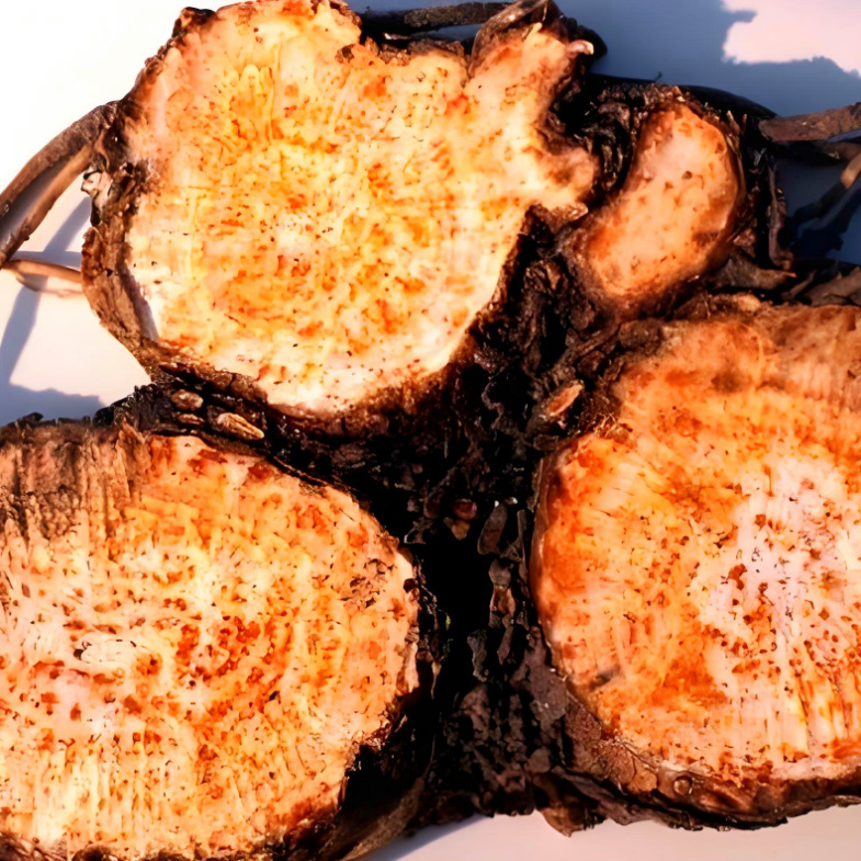 5a932fe528975d7a32e7144a4fdc89