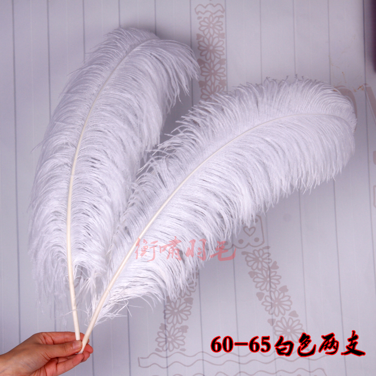Plumas de avestruz DIY red ins rosa de avestruz accesorios de fotografía de camello adornos de plumas de boda decoración