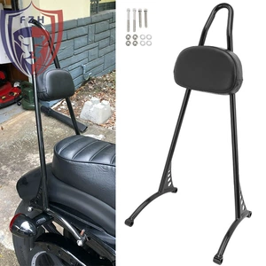 Harley 883/1200 04-18 üçün arxa sivri arxalıq, baqaj rəfi