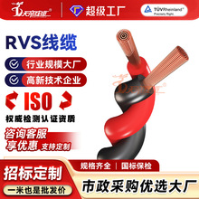 加工定制天帝RVS花线电源线铜芯2芯0.75 5 1.5 2.5平方双绞股电缆