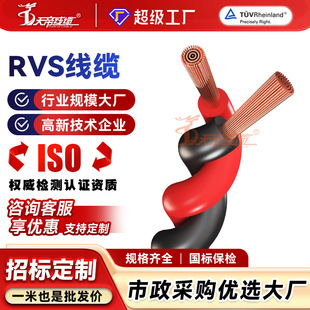 �ӹ��������RVS�����Դ���~о2о0.75 5 1.5 2.5ƽ���p�g����|