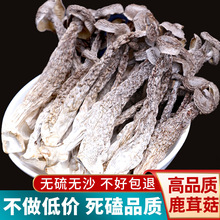 خa¹׹|Ʒ؛һؼĢҜٷŞ