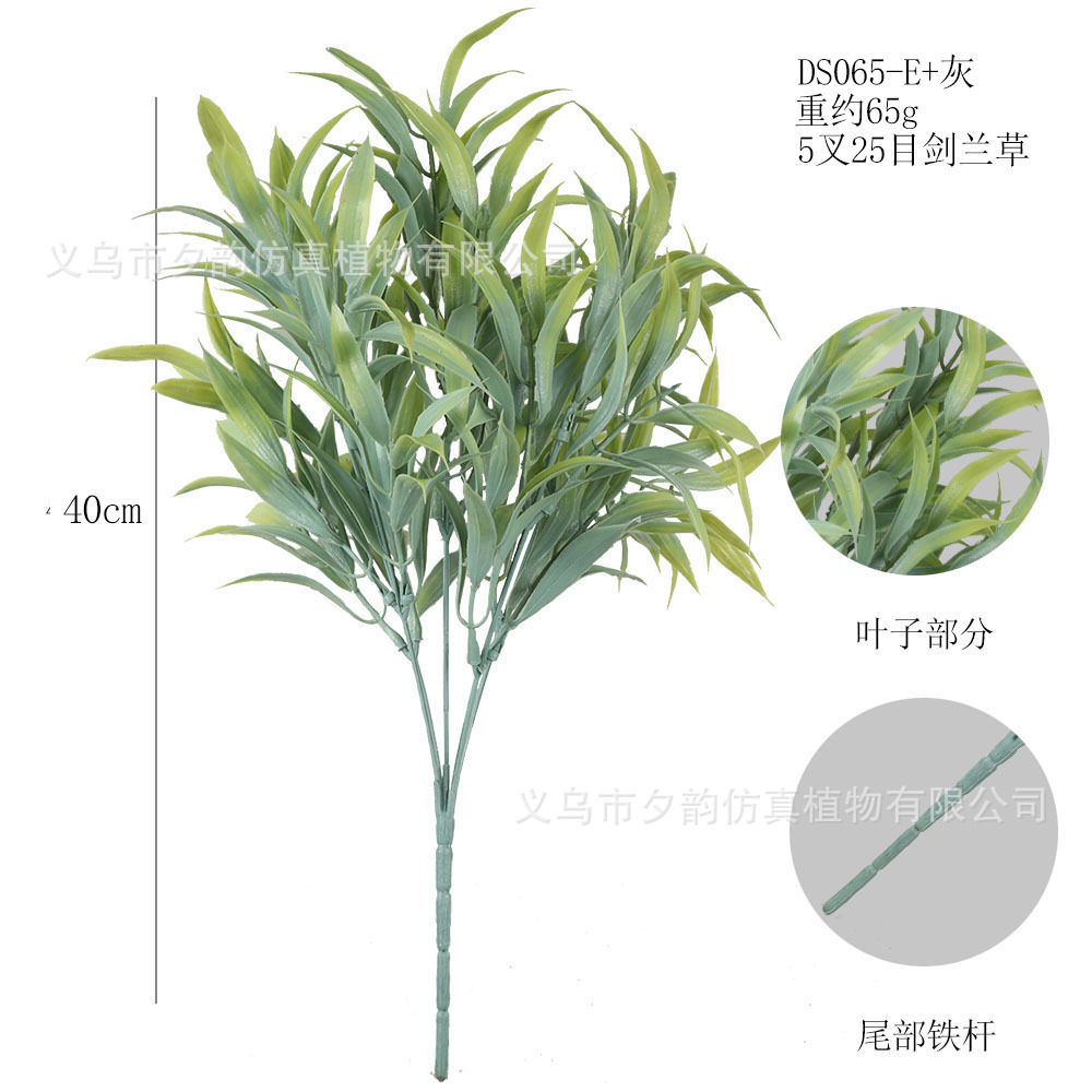 DS065-회색 녹색 5갈래 글라디올러스 잔디