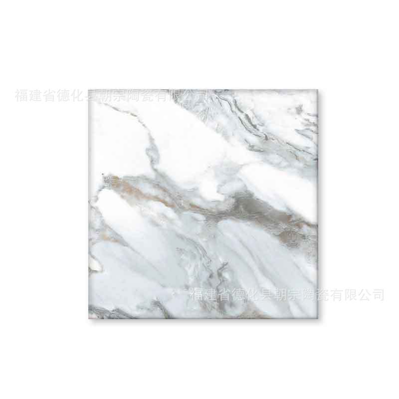 사중주 싱글 피스 5