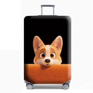 �Ӻ���ĥ��]���m���������\��ˤ�������ɐۄ���D�������䱣�o��