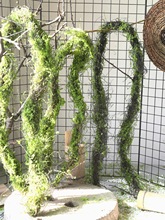 仿真树藤树枝杈榕须攀爬摆放青苔枯藤假苔藓造景森系壁挂花艺装饰