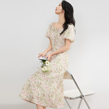 2025���e�ٴʽ�͹Ÿ������������@��Ůʿ�B��ȹ