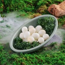 A5�ܰ�ɽҰ�Lɽ������偵���˱P�g�����P����ʳ�ıP���÷´ɲ;�