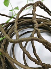 雨林缸爬宠假山造景装饰树藤蔓造型仿树藤穿线管PVC材质