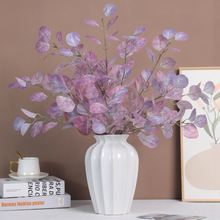 QzȼX~پGֲzӰcչҾb~