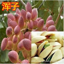 �_�Ĺ���޽��_�Ĺ����������������Ϸ��Nֲ����Y���_�Ĺ�����