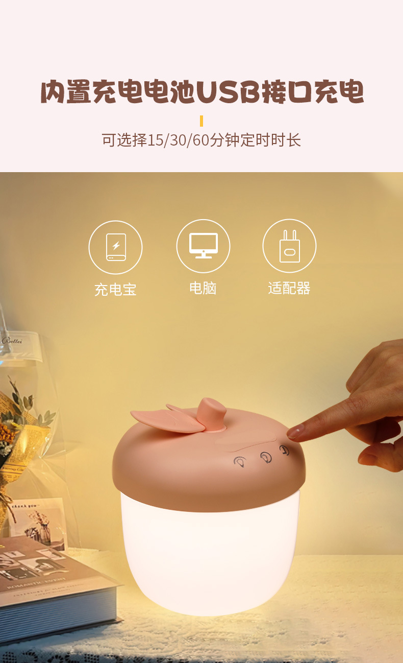 母婴灯小夜灯床头伴睡夜灯送女生创意生日教师节礼物e