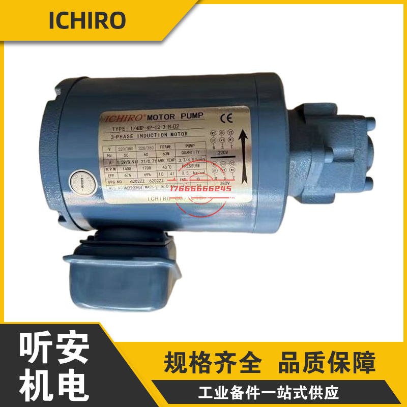 ICHIRO MOTOR PUMP电机泵组TYPE：1/4HP-4P-12-3-H-02 ICHIRO马达