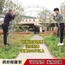庭院铁艺葡萄引路架拱门花架蔷薇爬藤架子月季加粗拱形花支架阳台