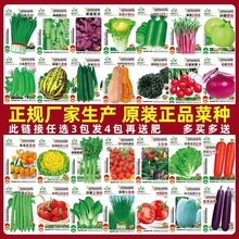 �߲˷N���ļ��������̨������˲������׷N���ݴ�ȫ�o�ܲ��N�Nֲ