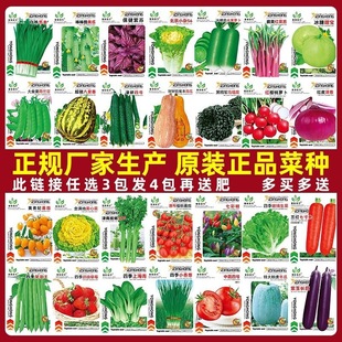 �߲˷N���ļ��������̨������˲������׷N���ݴ�ȫ�o�ܲ��N�Nֲ