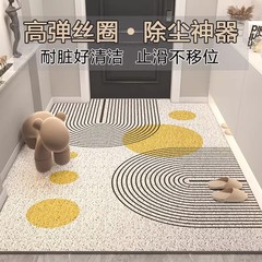 北欧の風の家庭用のネジの床のマットの入り口の滑り止めの耐摩耗性の足のマットの玄関は家庭用のマットを洗って代行することができます。