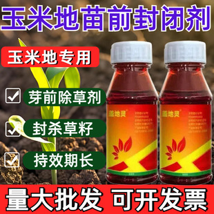 �rș��؛�Ҳݰ�������������ǰ���]���݄�����ѿǰ���]�S�����l