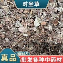 ���Ɍ�������ș�� ������ ����� ���� �~�X���в�ș���l��ȫ