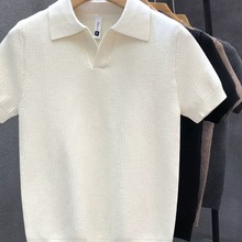 高级感polo领短袖毛衣男夏季2025新款时尚修身半袖翻领针织打底衫