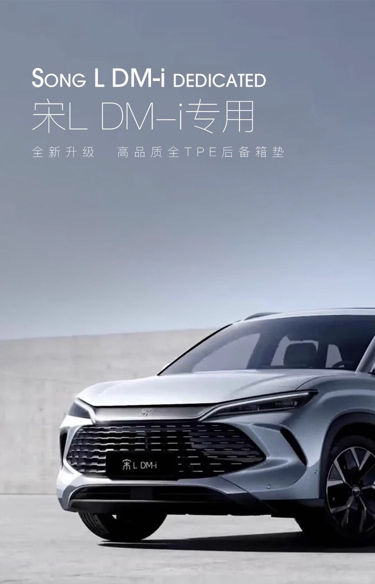 Applicable to BYD Song LDMi Trunk Mat 25 Surrounding Song L Trunk Mat 24 Interior Automotive Supplies
