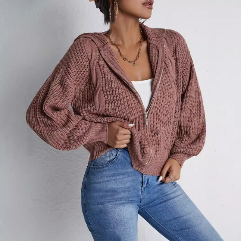 Cross-Border Foreign Trade European and American New Clothes Autum Women's Autum and Winter Hooded Cardigan Knitted Waffle Sweatshirt Top Versatile Cross-Border Foreign Trade European and American New Clothes Autum Women's Autum and Winter Hooded Cardigan Knitted Waffle Sweatshirt Top Versatile