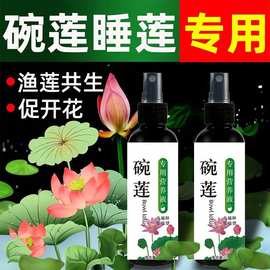 碗莲营养液睡莲专用水溶肥水培土培通用肥料种子发芽促生根促开花
