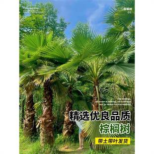 �ؙ������Դ�����Ә�ͥԺ�Ꭷֲ���ļ������ͺ��L�����ؘ���Gֲ