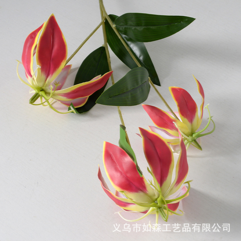 3 cabeza llama lirio rojo