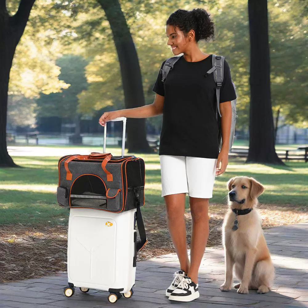 Портативная сумка для домашних животных, дышащая сумка для собак, большая вместительная сумка через плечо для кошек, товары для домашних животных на открытом воздухе, многофункциональная сумка для домашних животных