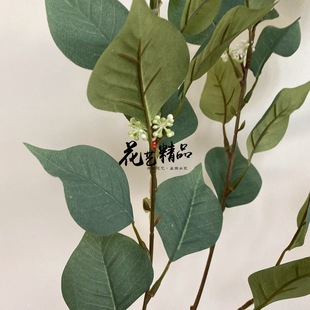 ���������~���͘�֦�Ҿ�ܛ�b�����~�ט��ֻ/���t�~���������ֻ/