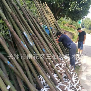 ���l������ 3-5����d����~��������  �߳ɻ��ļ�������������