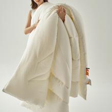 A类全棉提花十孔被春秋被冬被子被芯纯棉空调被春秋四季被8斤保暖