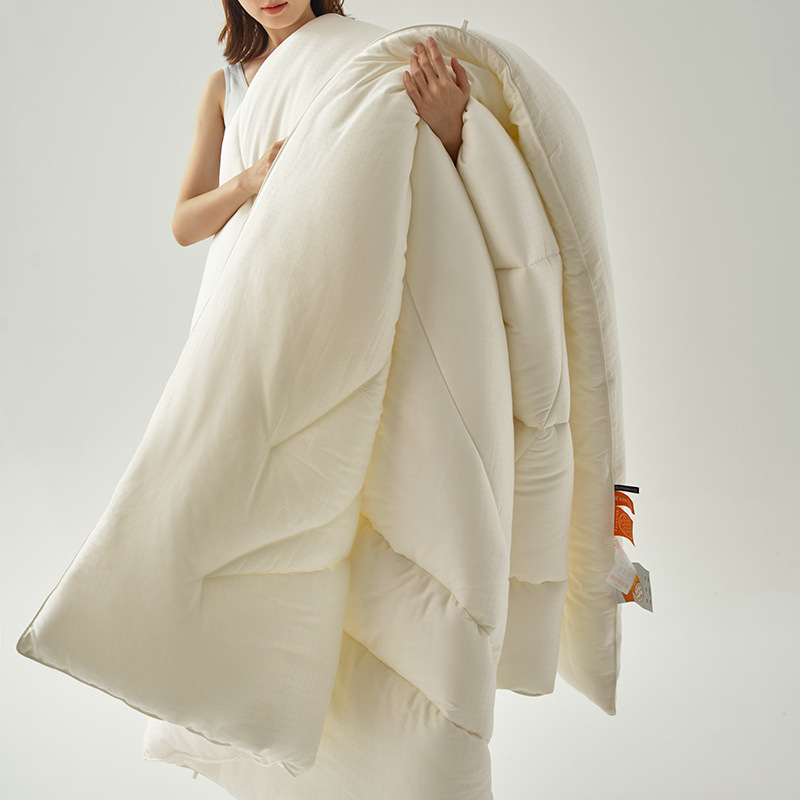 A类全棉提花十孔被春秋被冬被子被芯纯棉空调被春秋四季被8斤保暖