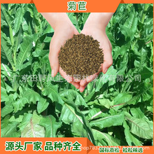 ݷNţʳòݾĺͺ͸ɺֲ