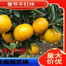 һ�����l�޽�������ɳ�����Ә���o�������ϱ����NֲͥԺ���Ե���