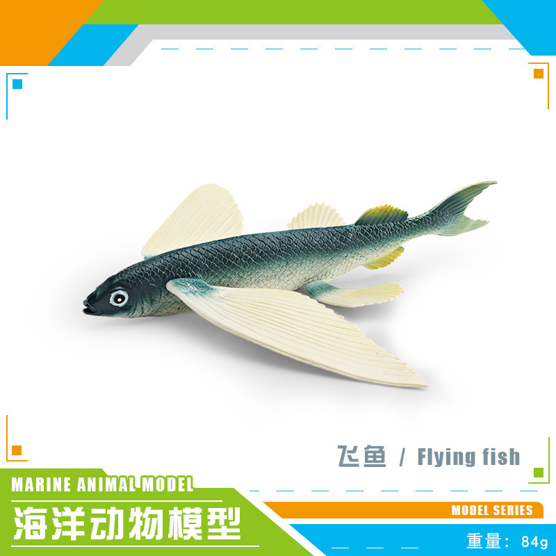 Exportación transfronteriza simulación de animales marinos conchas de cañón de peces, caparazones, atún, espada, peces voladores, adornos de modelo estático