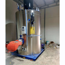 低氮定制燃氣鍋爐立式燃氣蒸汽發生器高溫加熱導熱油熱水供暖爐廠