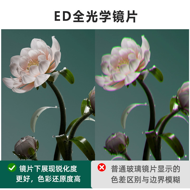 Outdoor binoculars 50 large diameter ED magnesium alloy high-definition low-light night vision professional waterproof concert