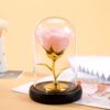 Spend eternity Glass cover Gift box Gold foil rose Artificial Flower led Lamp Creative Handicraft diy Decoration gift Cross border