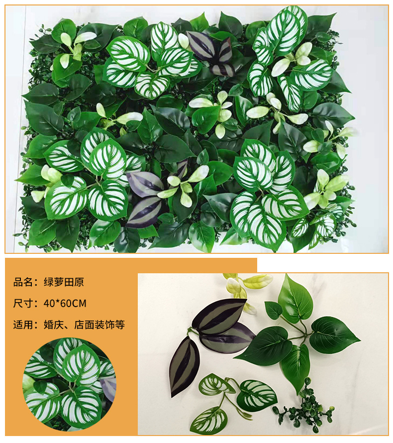 微信图片_20210512170516