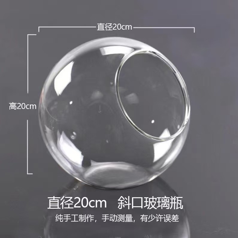 透明斜口玻璃花瓶 圆形微景观生态瓶多肉花瓶水培花器|undefined