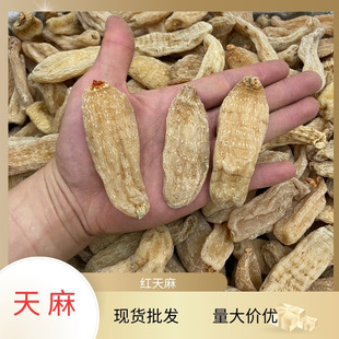 ����35�^�a��؛Դ�������l���NҎ������ɢ�b����ă��t��؛����