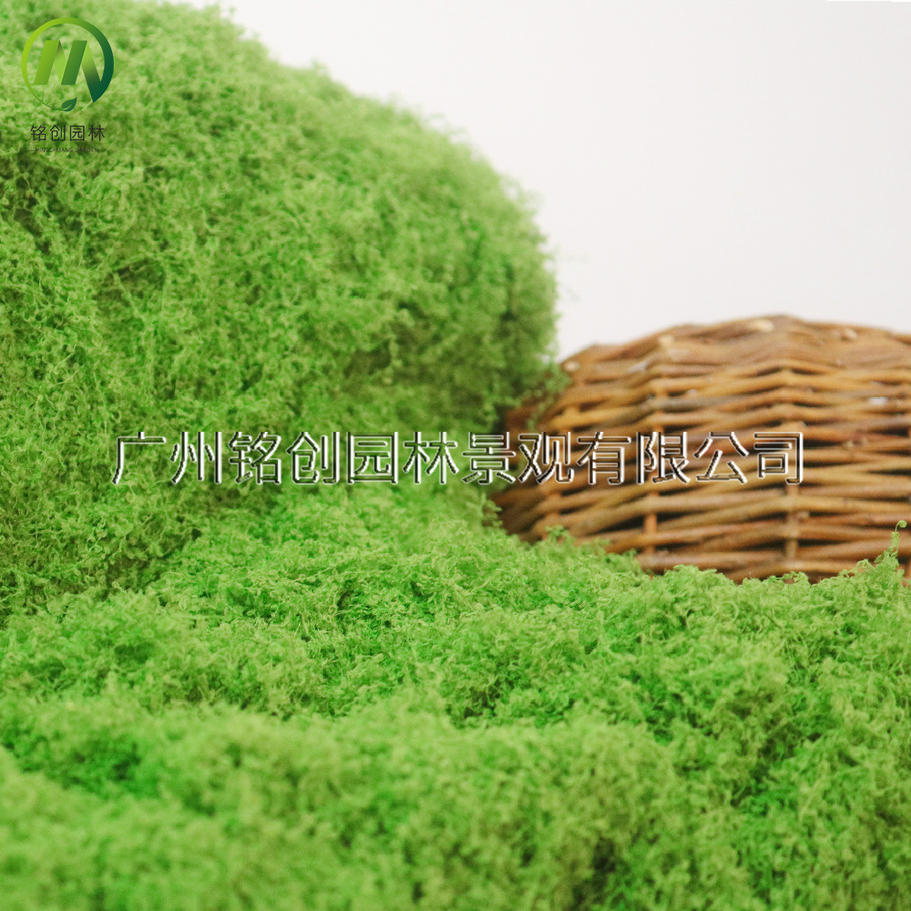 Simulación de decoración de micropaisaje de musgo, césped de musgo falso, musgo filamentoso, plantación verde, simulación de paisajismo, musgo