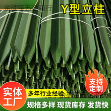 �����F���������F�z�W���ڗU���Pţ�ھW�ͼ��^���Ӻ������F؛