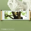 Panda 164
