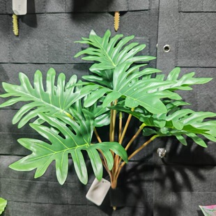 ����Gֲ�~��ֲ�ܛ�b ����ֲ�� ��9�^���ܹ��~ �����~����G�}